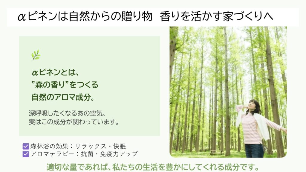 フィトンチッド　BVOC 森の香り